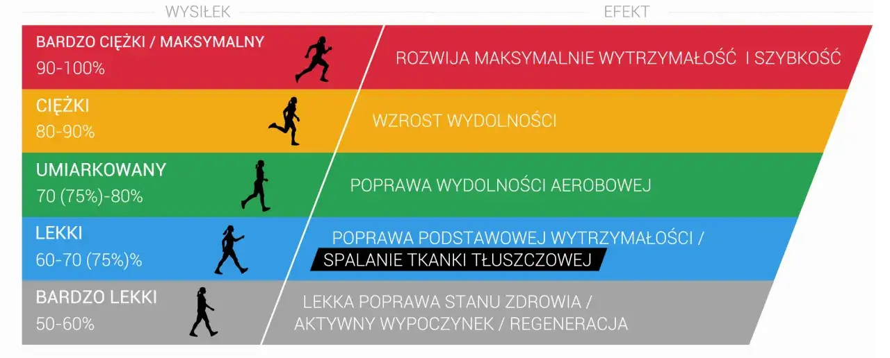 porównanie trening aerobowy anaerobowy infografika