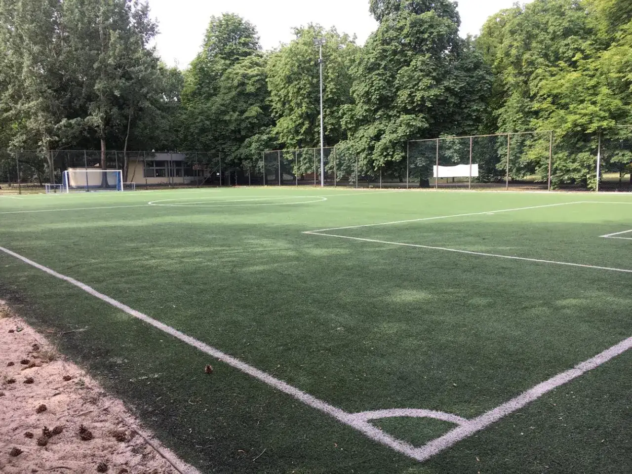 Piłkarskie boisko ze sztuczną trawą, otoczone drzewami. W oddali widać budynek i bramkę. Idealne miejsce na treningi, jak na agrykoli.